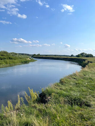 Narew Narew