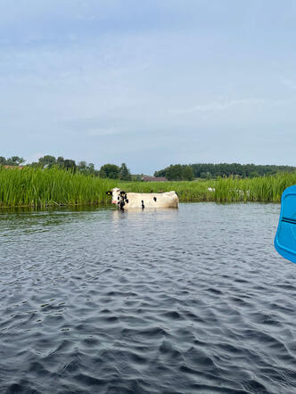 Niespodzianka na kajakach